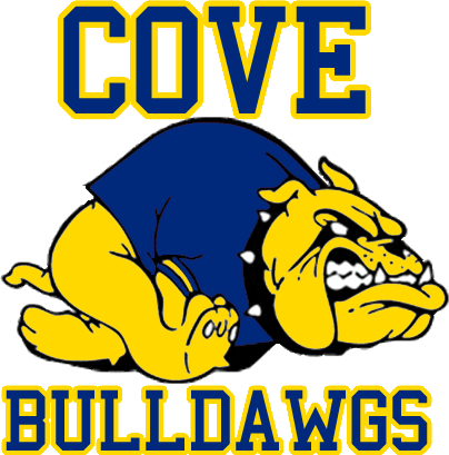 Instead of "Cove" on the second logo, I could put "CCHS" or something else 