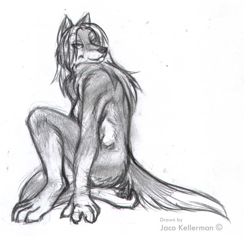 cool wolf poses