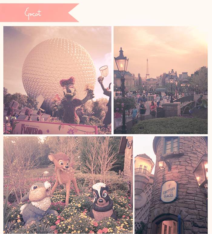 photo disneyworld_epcot_zps74bb2b19.png