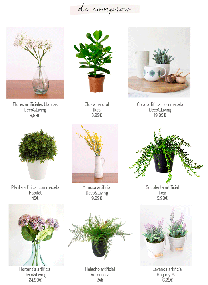 photo flores7_zps55114016.gif