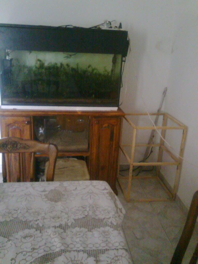 Comentar Imagen