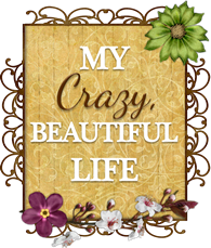 My Crazy Beautiful Life