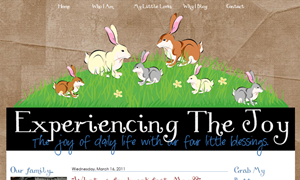 Experience The Joy