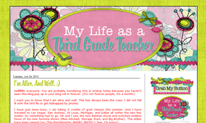 My Life as a 3rd Grade Teacher