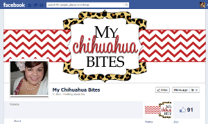 My Chihuahua Bites Facebook