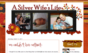 A Silver Wife’s Life