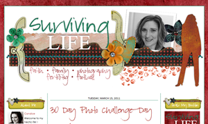 Surviving Life