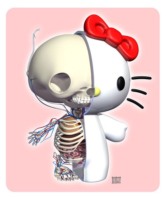 FOTOFUN - Anatomia da Hello Kitty.