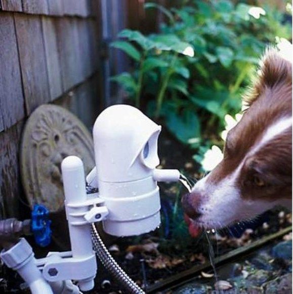 Com WaterDog você não vai mais precisar trocar a água do seu cachorro.