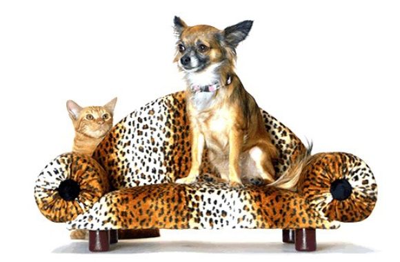 Pet Sofa – Um sofá para seu animal de estimação.