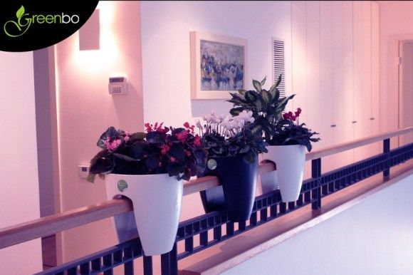 Greenbo Planter - Os vasos perfeitos para seu apartamento.
