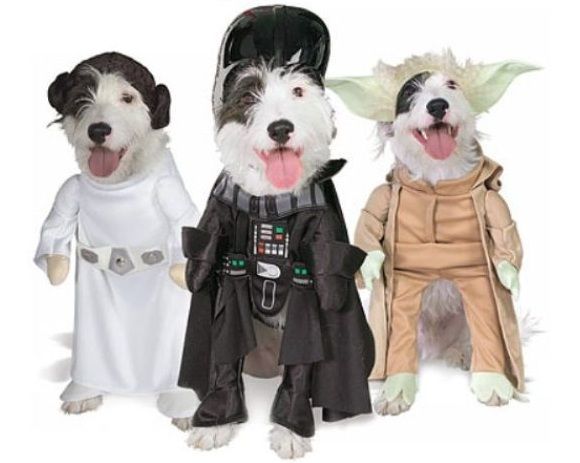 Transforme seu cão em um geek com os trajes do Star Wars!
