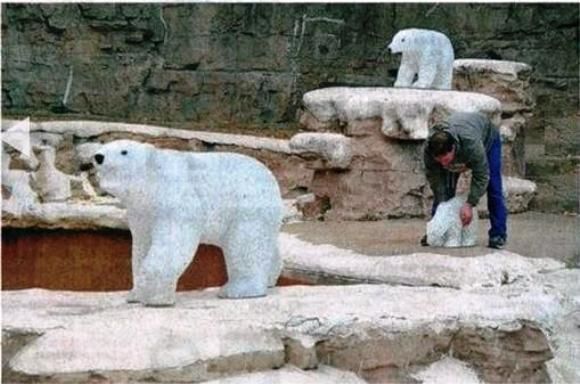 Ursos Robôs substituem Ursos Reais em Zoo nos EUA.