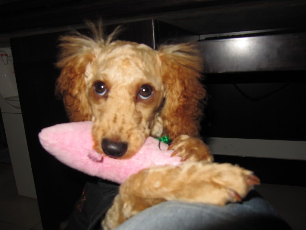 图片点击可在新窗口打开查看