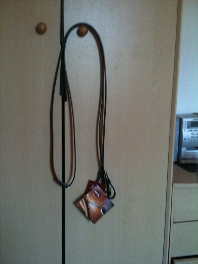 For Sale *pics*Thorn saddle pad n stuff Horse Gossip