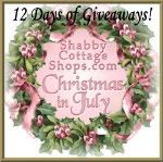 Visit our "12 Days of Christmas In July" blog!