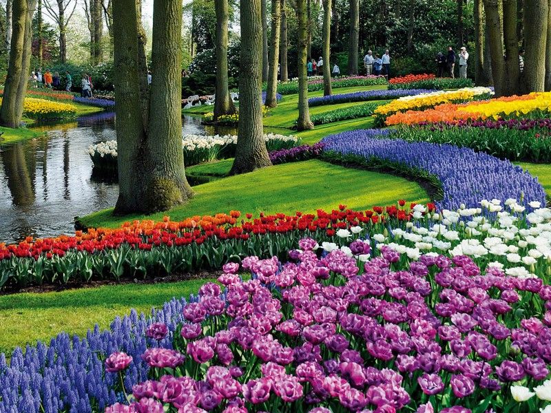 garden-of-europe-keukenhof-garden-lisse-