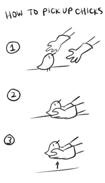 how_to_pick_up_chicks_zpsdf908e92.jpg