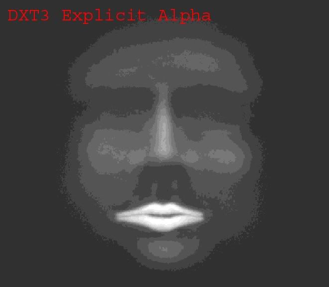 DXT3Alpha.jpg