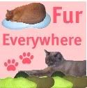 Fur Everywhere
