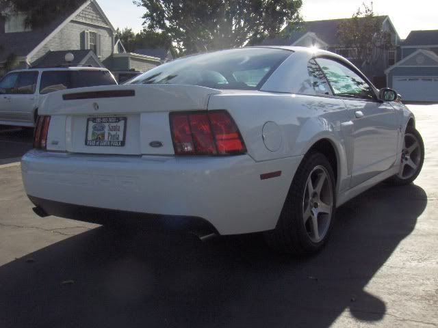 2003 Mustang Cobra Terminator 