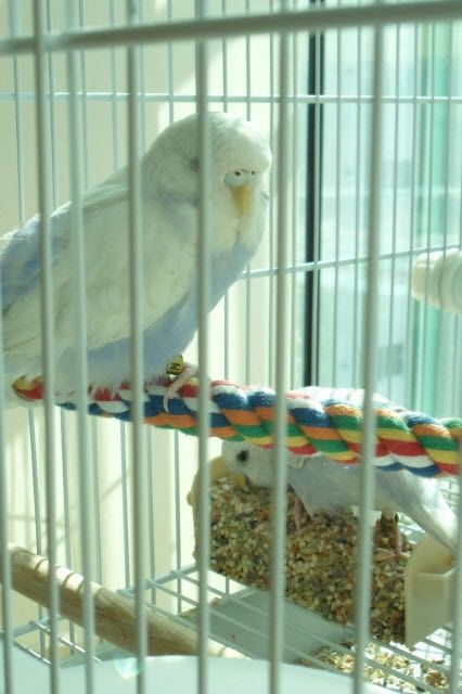 SAM_0871.jpg?t=1295672113