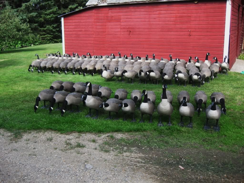 Bigfoot B2's and Originals FS- with pics | North Dakota Fishing and