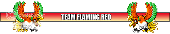 TEAM FLAMING RED